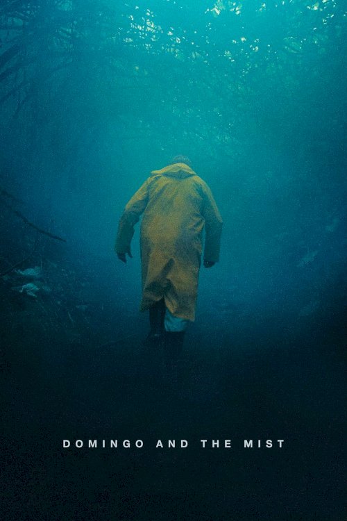 Domingo and the Mist - Movie Poster Domingo and the Mist - Movie Poster