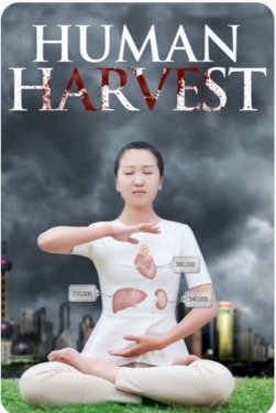 Human Harvest - Movie Poster Human Harvest - Movie Poster