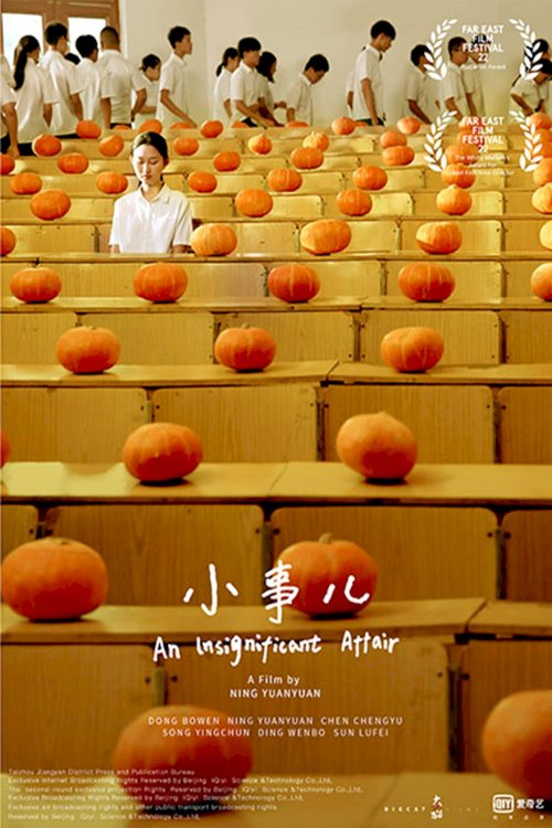 An Insignificant Affair - Movie Poster An Insignificant Affair - Movie Poster