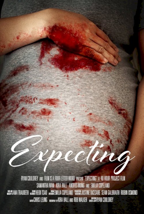 Expecting - Movie Poster Expecting - Movie Poster