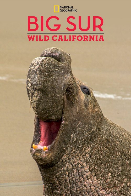 Big Sur-Wild California - Movie Poster Big Sur-Wild California - Movie Poster