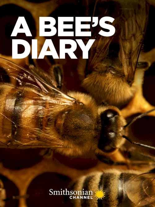 A Bee's Diary - Movie Poster A Bee's Diary - Movie Poster