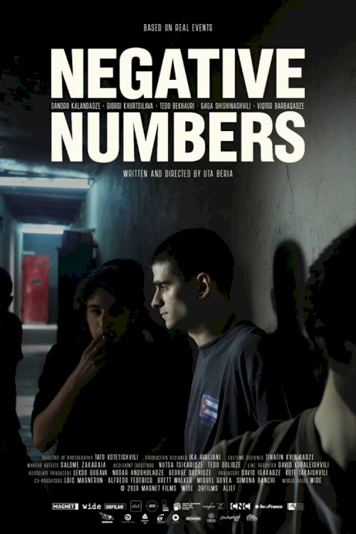 Negative Numbers - Movie Poster
