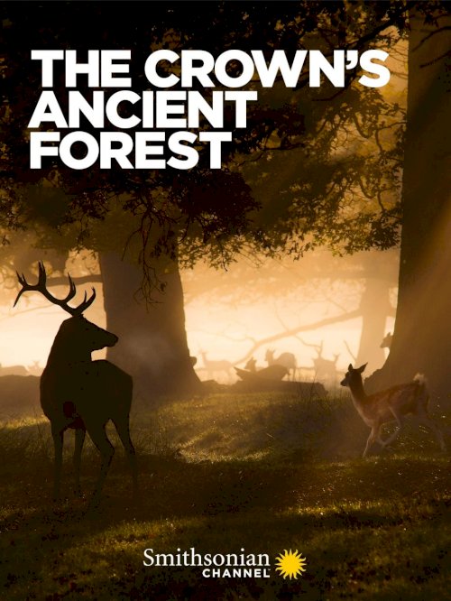 The Crown's Ancient Forest - Movie Poster
