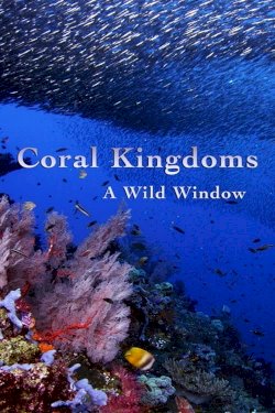 A Wild Window: Coral Kingdoms - Movie Poster A Wild Window: Coral Kingdoms - Movie Poster
