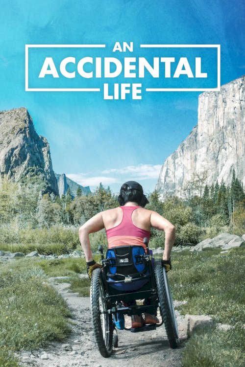 An Accidental Life - Movie Poster An Accidental Life - Movie Poster