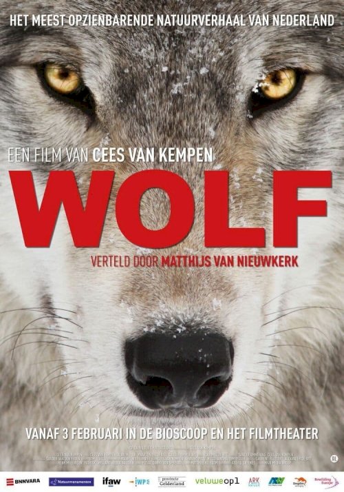 Wolf - Movie Poster Wolf - Movie Poster