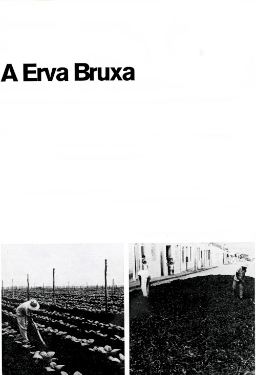 A Erva Bruxa - Movie Poster A Erva Bruxa - Movie Poster