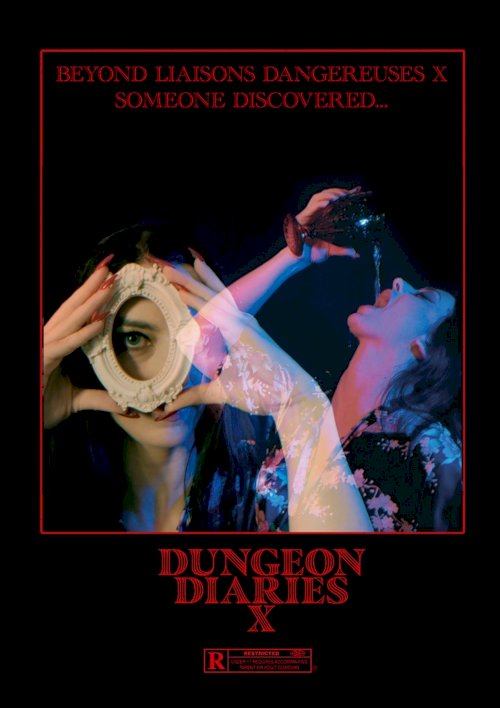 Dungeon Diaries X - Movie Poster Dungeon Diaries X - Movie Poster