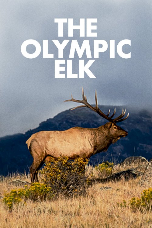 The Olympic Elk - Movie Poster The Olympic Elk - Movie Poster