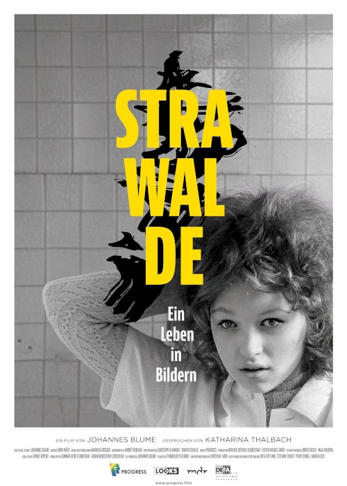 Strawalde - Ein Leben in Bildern - Movie Poster Strawalde - Ein Leben in Bildern - Movie Poster