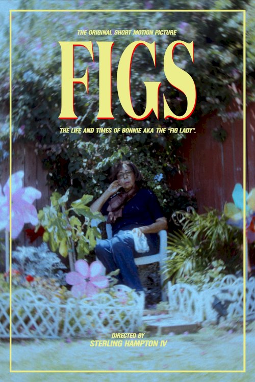 Figs - Movie Poster Figs - Movie Poster