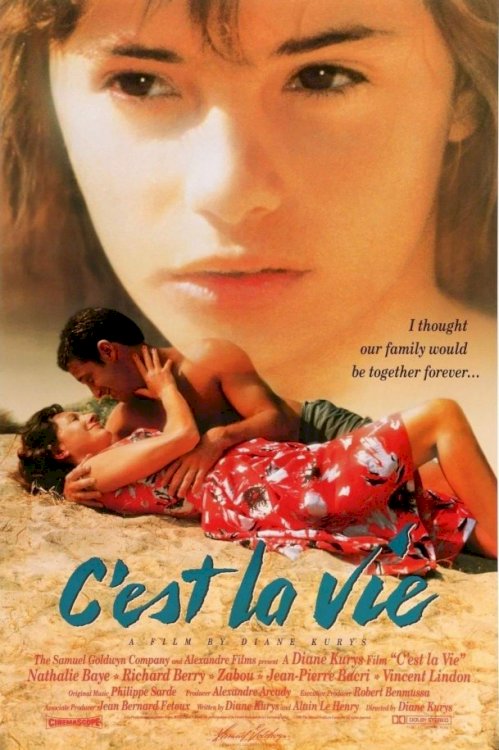 C'est La Vie - Movie Poster C'est La Vie - Movie Poster
