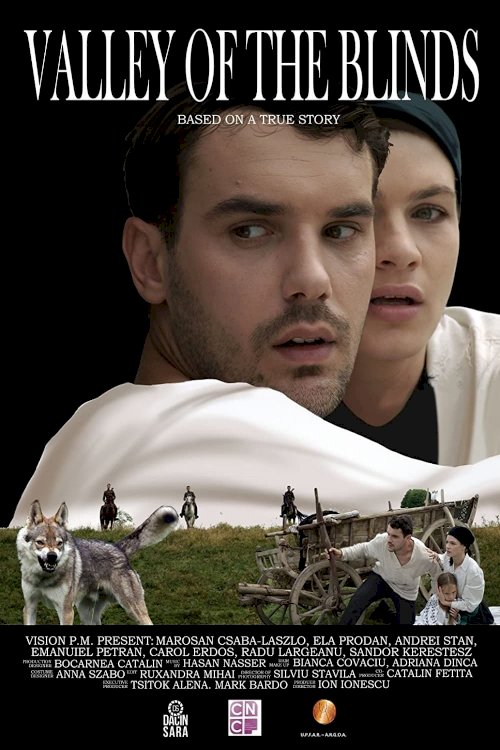 Valley of the Blind - Movie Poster Valley of the Blind - Movie Poster