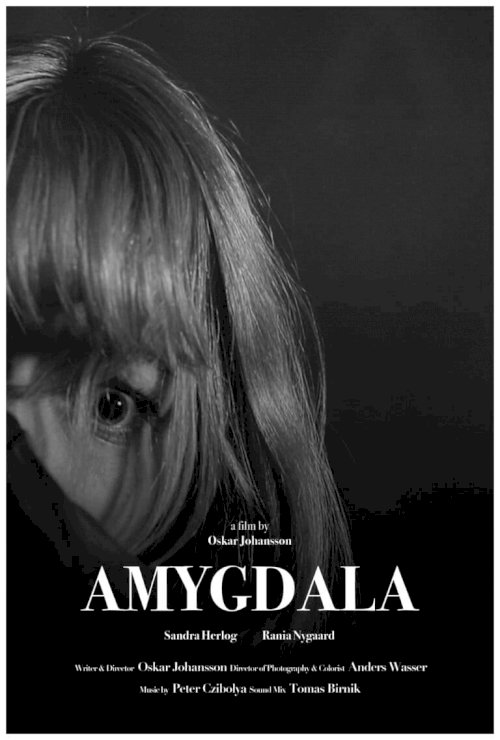 Amygdala - Movie Poster Amygdala - Movie Poster