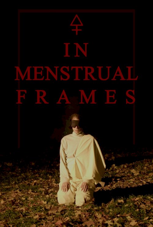 In Menstrual Frames - Movie Poster In Menstrual Frames - Movie Poster