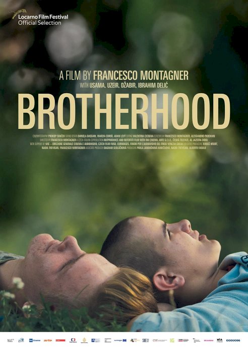 Brotherhood - Movie Poster Brotherhood - Movie Poster