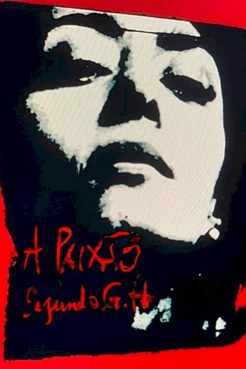 A Paixão Segundo G.H. - Movie Poster A Paixão Segundo G.H. - Movie Poster