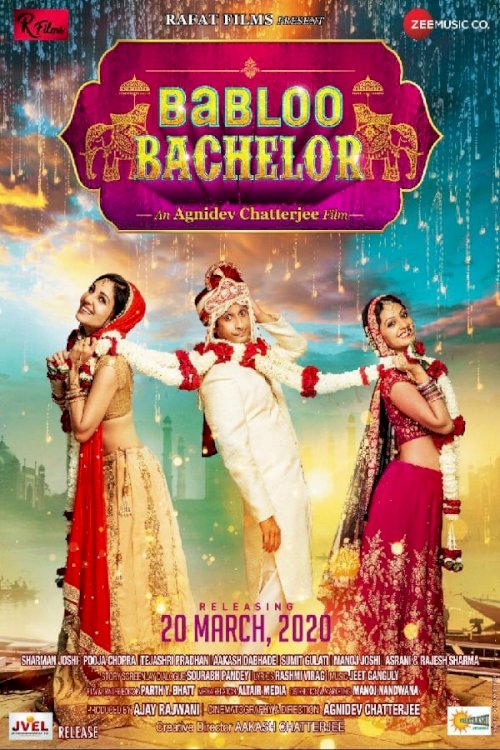 Babloo Bachelor - Movie Poster Babloo Bachelor - Movie Poster