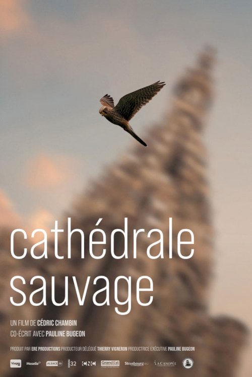 Cathédrale sauvage - Movie Poster Cathédrale sauvage - Movie Poster