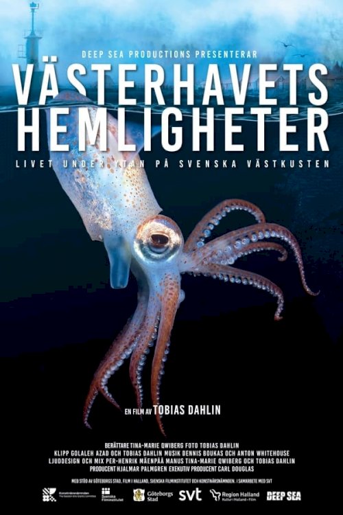 Västerhavets Hemligheter - Movie Poster Västerhavets Hemligheter - Movie Poster
