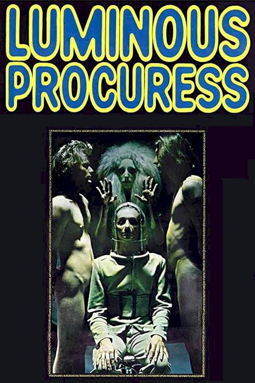 Luminous Procuress - Movie Poster Luminous Procuress - Movie Poster