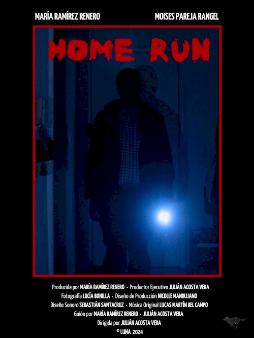 Home run - Movie Poster