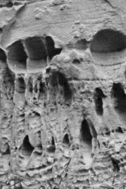 Ghost Strata - Movie Poster Ghost Strata - Movie Poster