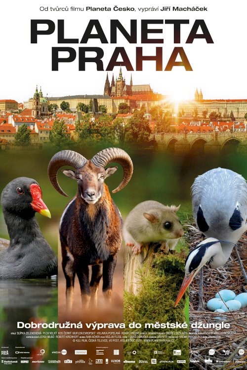 Wild Prague - Movie Poster Wild Prague - Movie Poster