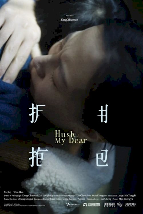 Hush, My Dear - Movie Poster