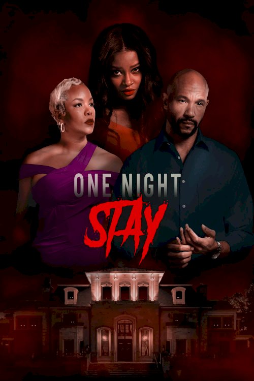 One Night Stay - Movie Poster One Night Stay - Movie Poster