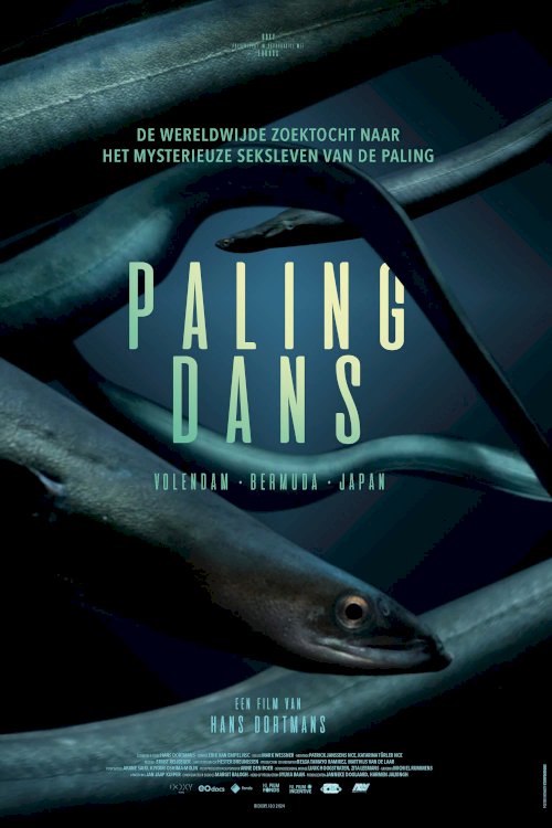 Hidden Dance of Eels - Movie Poster Hidden Dance of Eels - Movie Poster