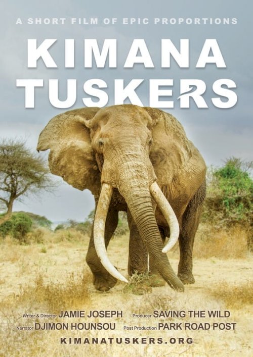 Kimana Tuskers - Movie Poster