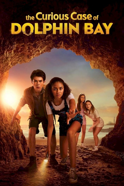 The Curious Case of Dolphin Bay - Movie Poster The Curious Case of Dolphin Bay - Movie Poster