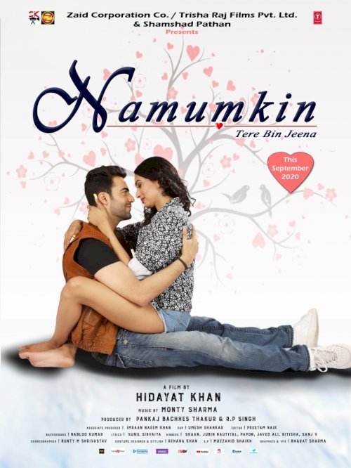 Namumkin Tere Bin Jeena - Movie Poster Namumkin Tere Bin Jeena - Movie Poster