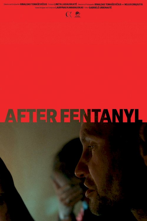 After Fentanyl - Movie Poster After Fentanyl - Movie Poster