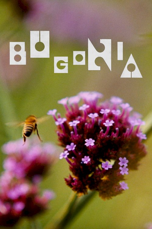 Bugonia - Movie Poster Bugonia - Movie Poster