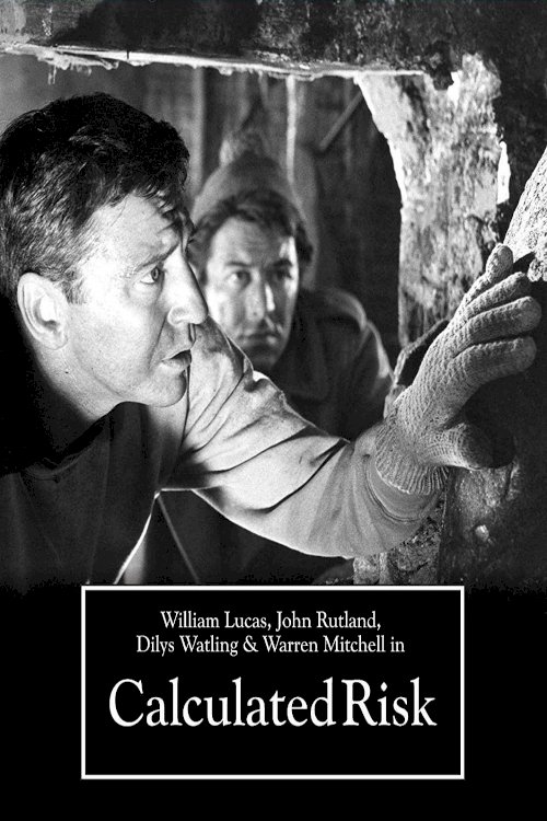 Calculated Risk - Movie Poster Calculated Risk - Movie Poster