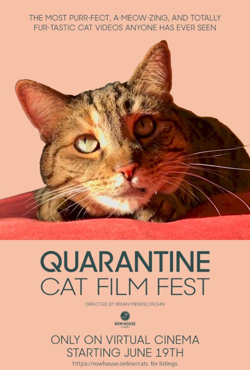 Quarantine Cat Film Festival - Movie Poster Quarantine Cat Film Festival - Movie Poster