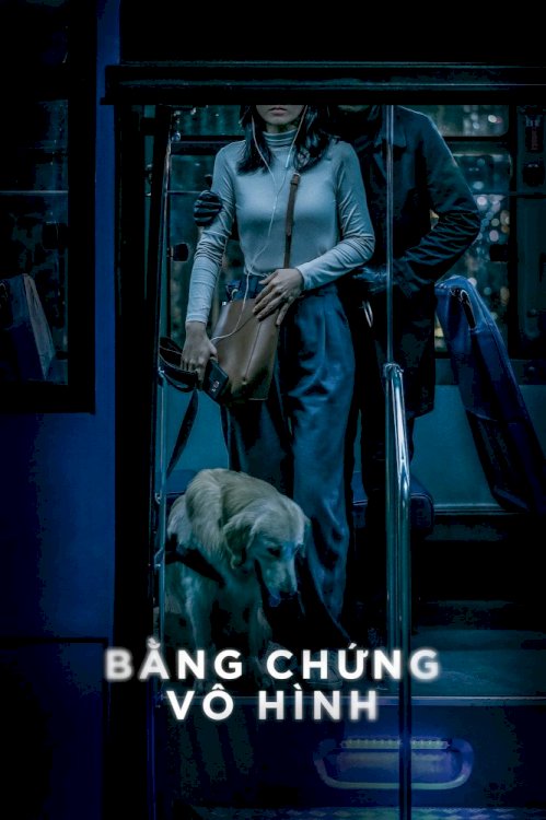 Invisible Evidence - Movie Poster Invisible Evidence - Movie Poster