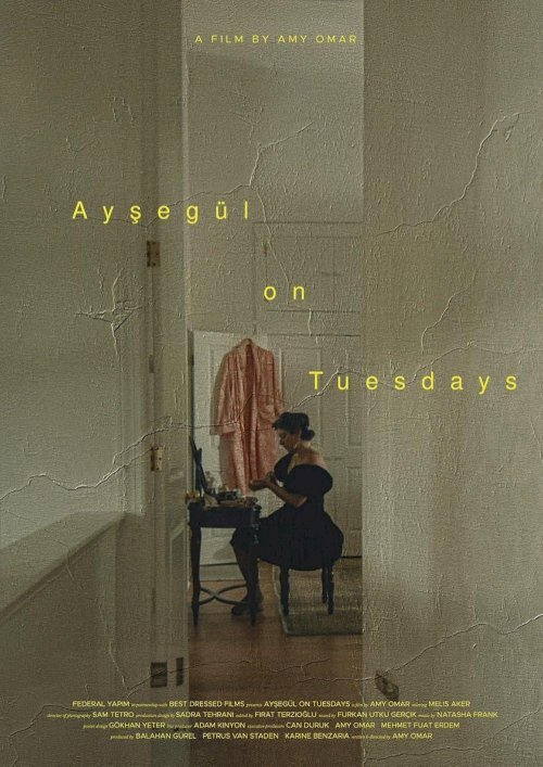 Ayşegül on Tuesdays - Movie Poster Ayşegül on Tuesdays - Movie Poster