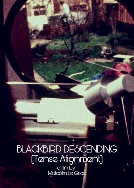 Blackbird Descending - Tense Alignment - Movie Poster Blackbird Descending - Tense Alignment - Movie Poster
