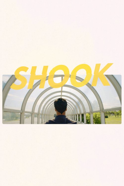 Shook - Movie Poster Shook - Movie Poster