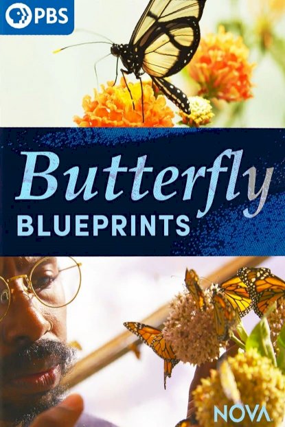 Butterfly Blueprints - Movie Poster Butterfly Blueprints - Movie Poster