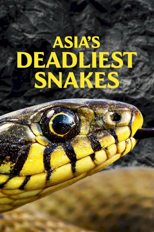 Asia's Deadliest Snakes - Movie Poster Asia's Deadliest Snakes - Movie Poster