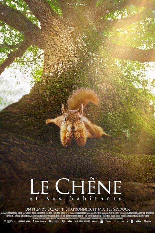 Heart of an Oak - Movie Poster Heart of an Oak - Movie Poster
