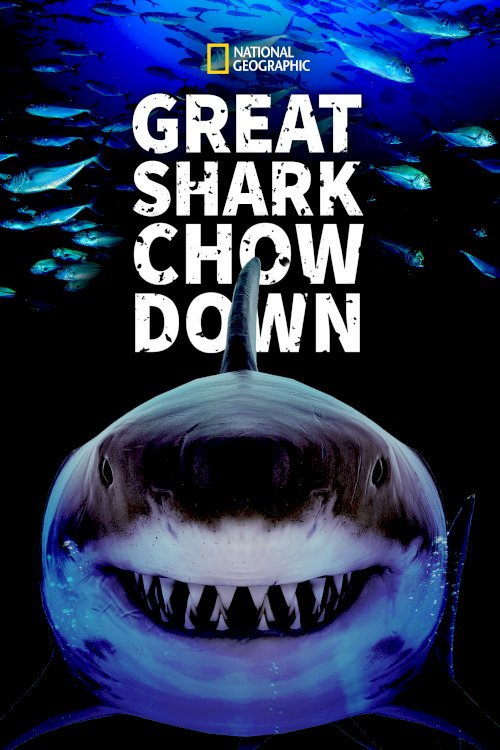 Great Shark Chow Down - Movie Poster Great Shark Chow Down - Movie Poster