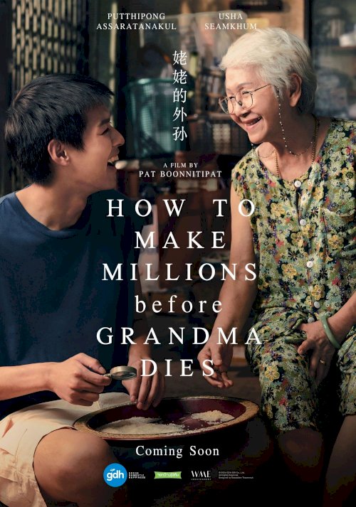 How to Make Millions Before Grandma Dies - Movie Poster How to Make Millions Before Grandma Dies - Movie Poster