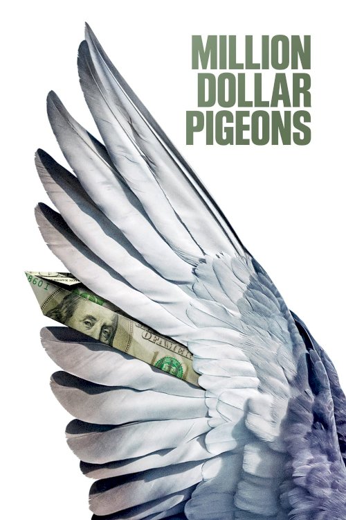 Million Dollar Pigeons - Movie Poster Million Dollar Pigeons - Movie Poster