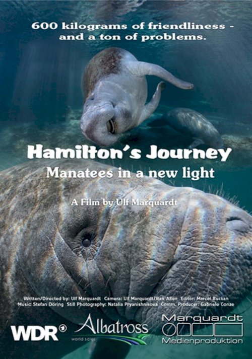 Hamilton's Journey - Manatees in a New Light - Movie Poster Hamilton's Journey - Manatees in a New Light - Movie Poster